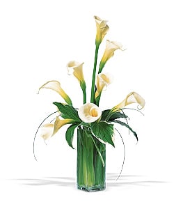 White calla lilies arranged in a tall glass vase