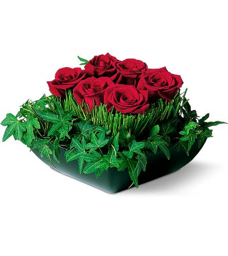 Red roses arranged in a low green container with ivy around the base