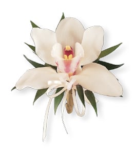 White orchid corsage with ribbon ties