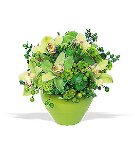 Green orchid arrangement in a lime vase