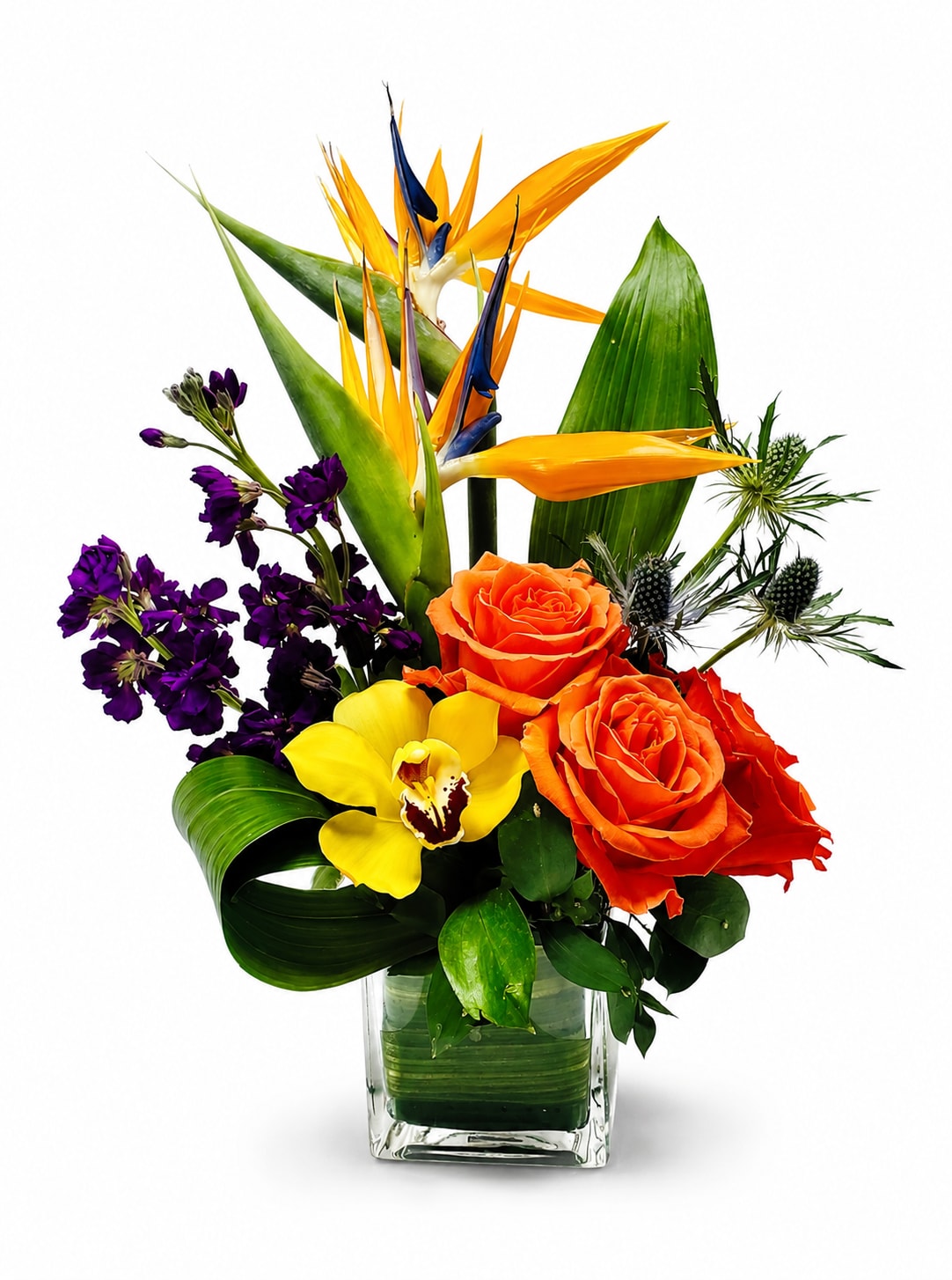 Tropic Bliss - A vibrant floral arrangement featuring striking orange bird-of-paradise blooms, bright orange roses, a yellow orchid, and rich purple flowers, accented with lush green foliage and decorative thistle stems. Arranged in a modern clear glass vase, it creates a bold and elegant tropical-inspired display.