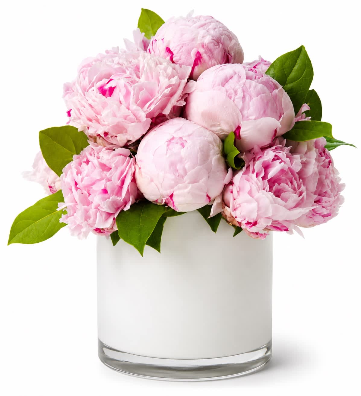 Pink peonies arranged in a white glass vase
