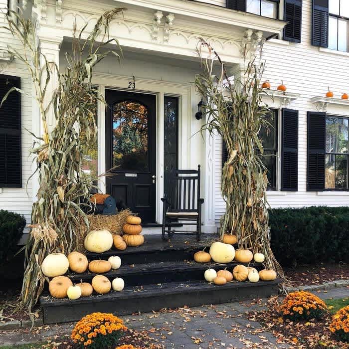 Front porch decorated with cornstalks, pumpkins, and orange mums