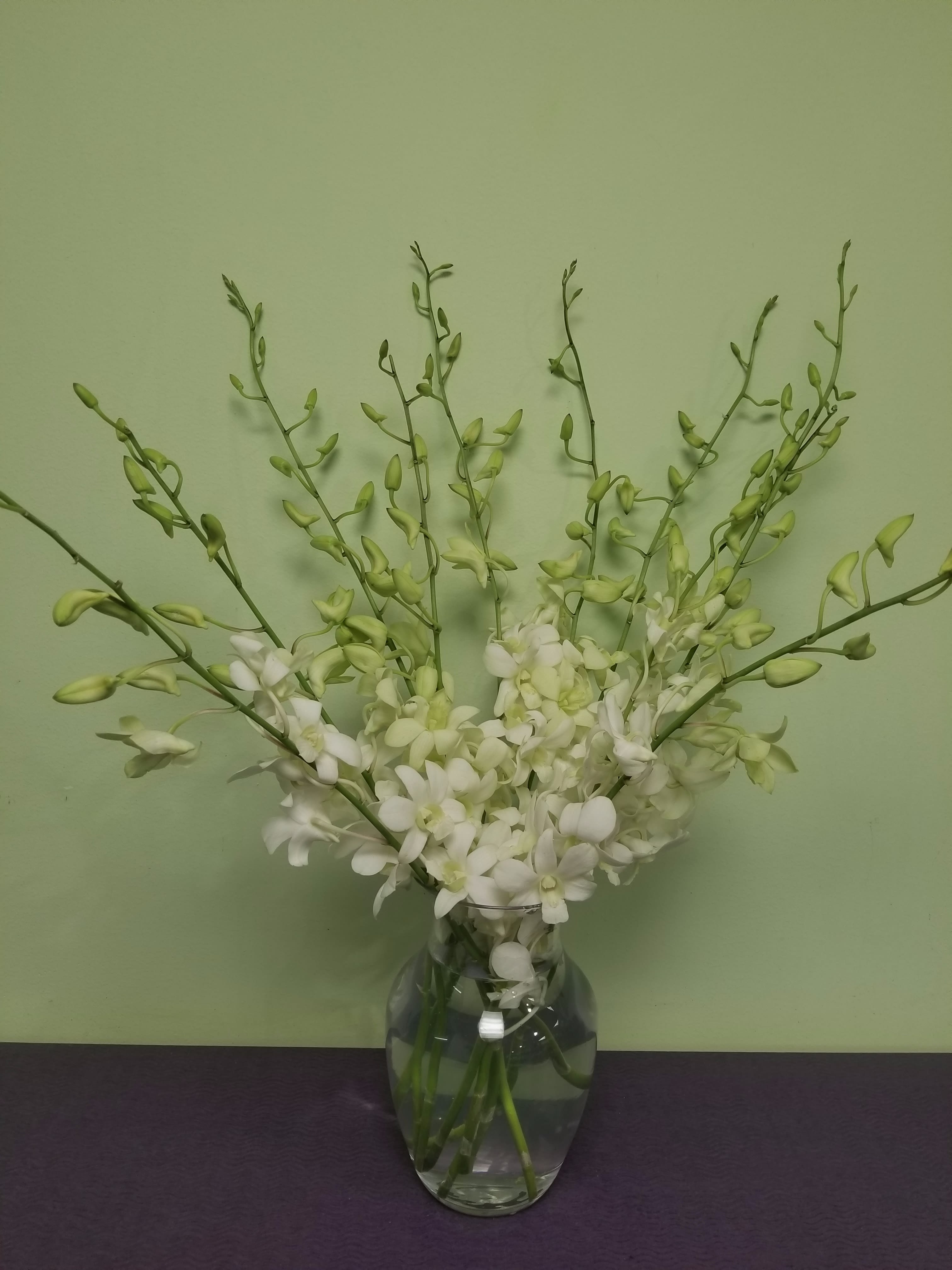 White orchid stems arranged in a clear glass vase