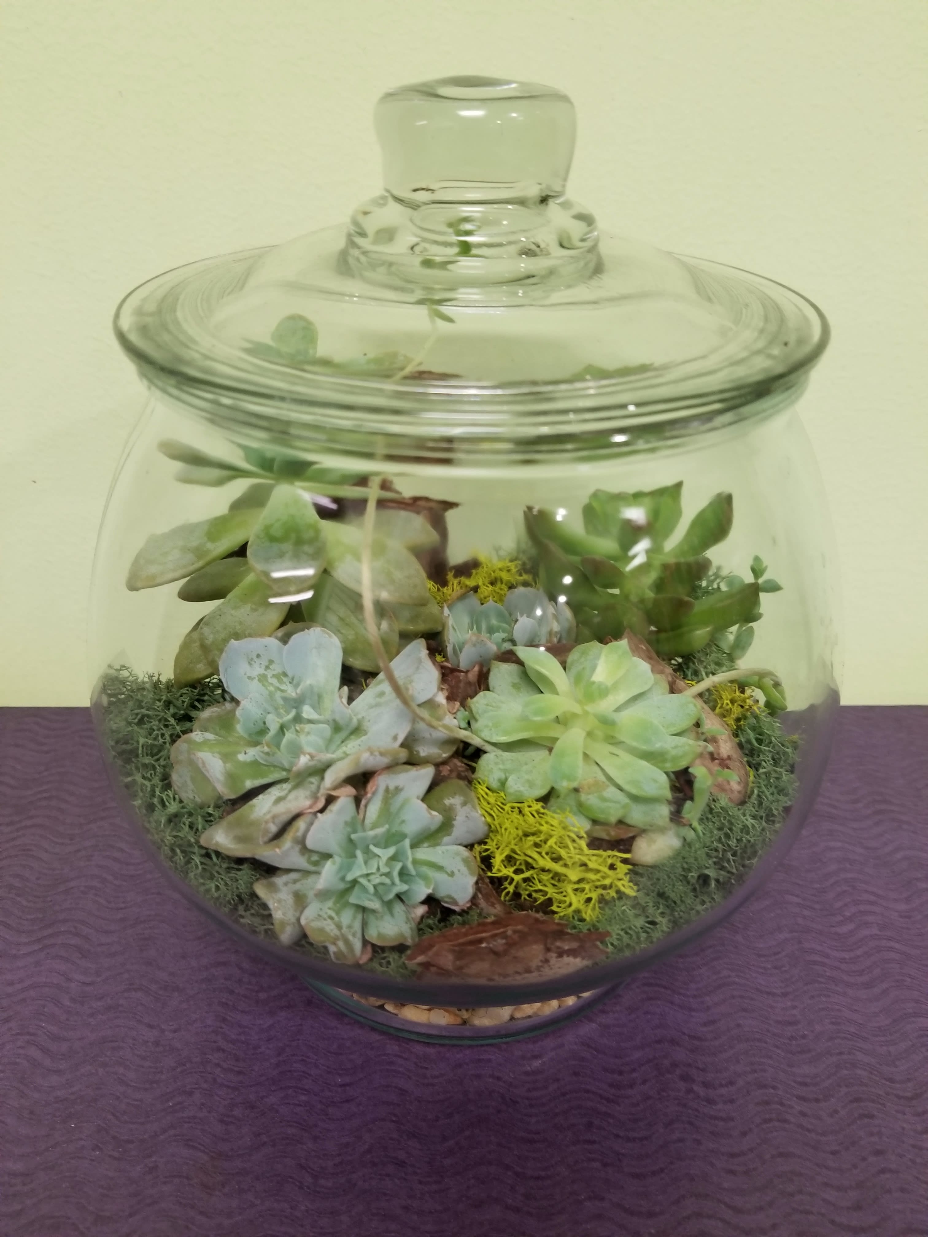 Glass terrarium jar filled with assorted succulents
