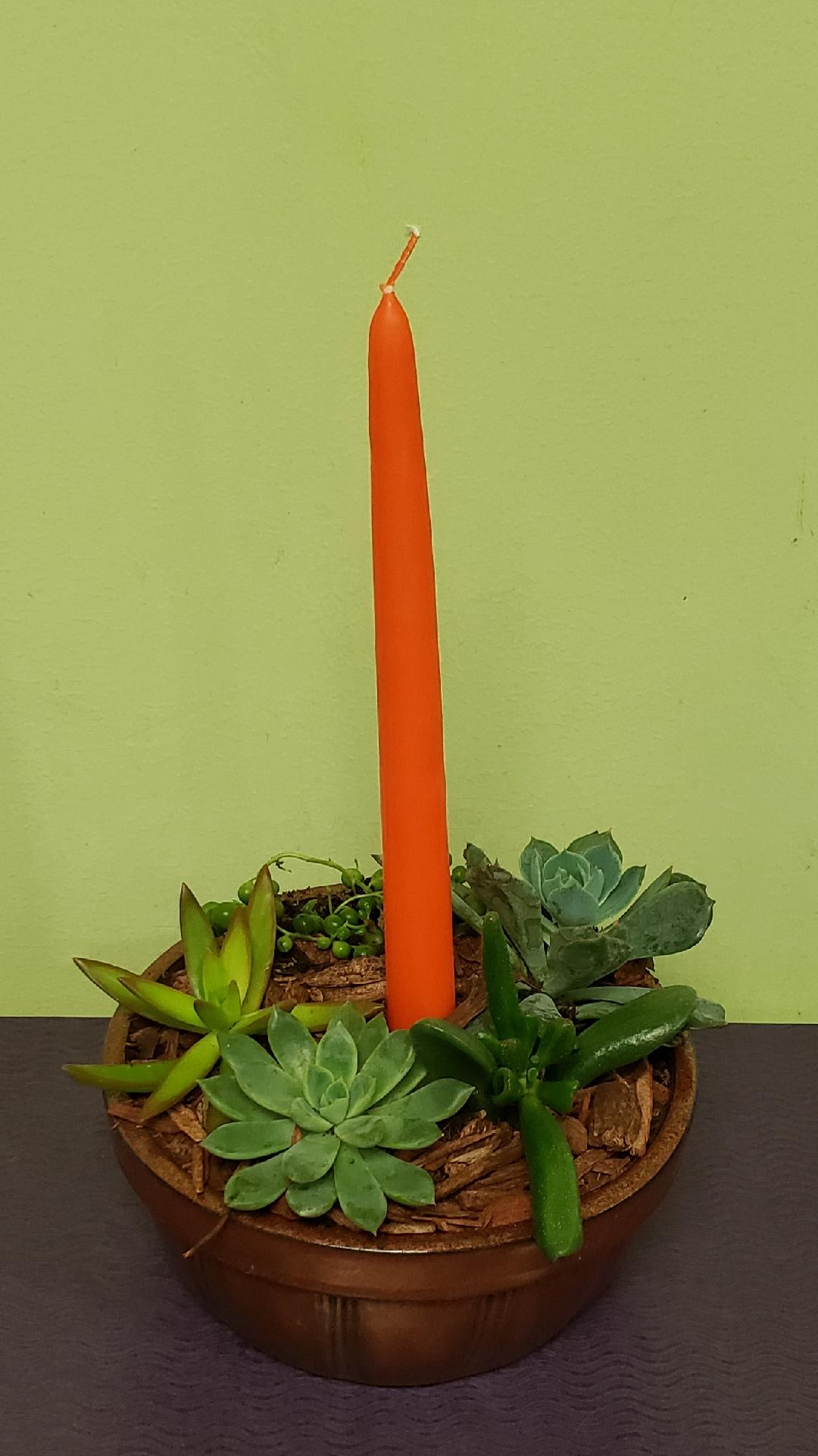 Succulent arrangement with a tall orange candle in a round dish