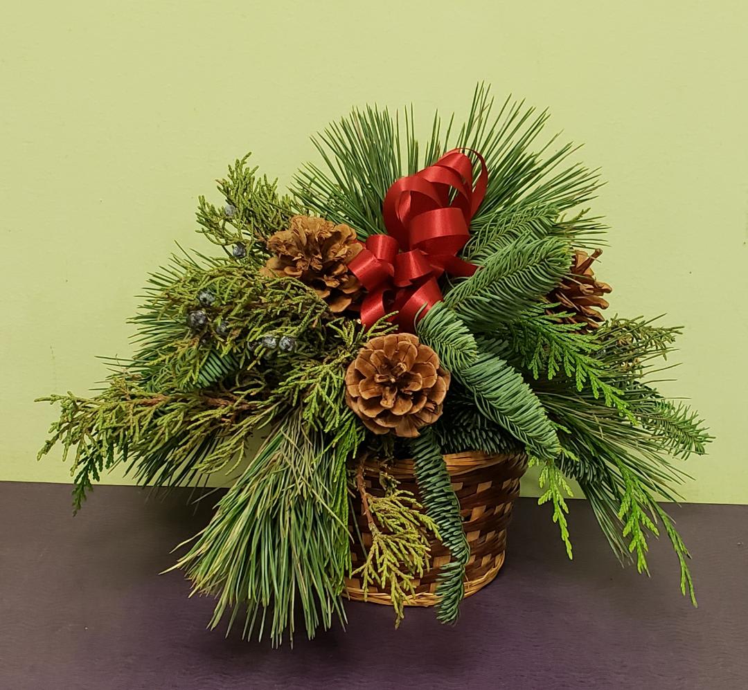 Pine and cedar arrangement in a woven basket with pinecones and a red ribbon