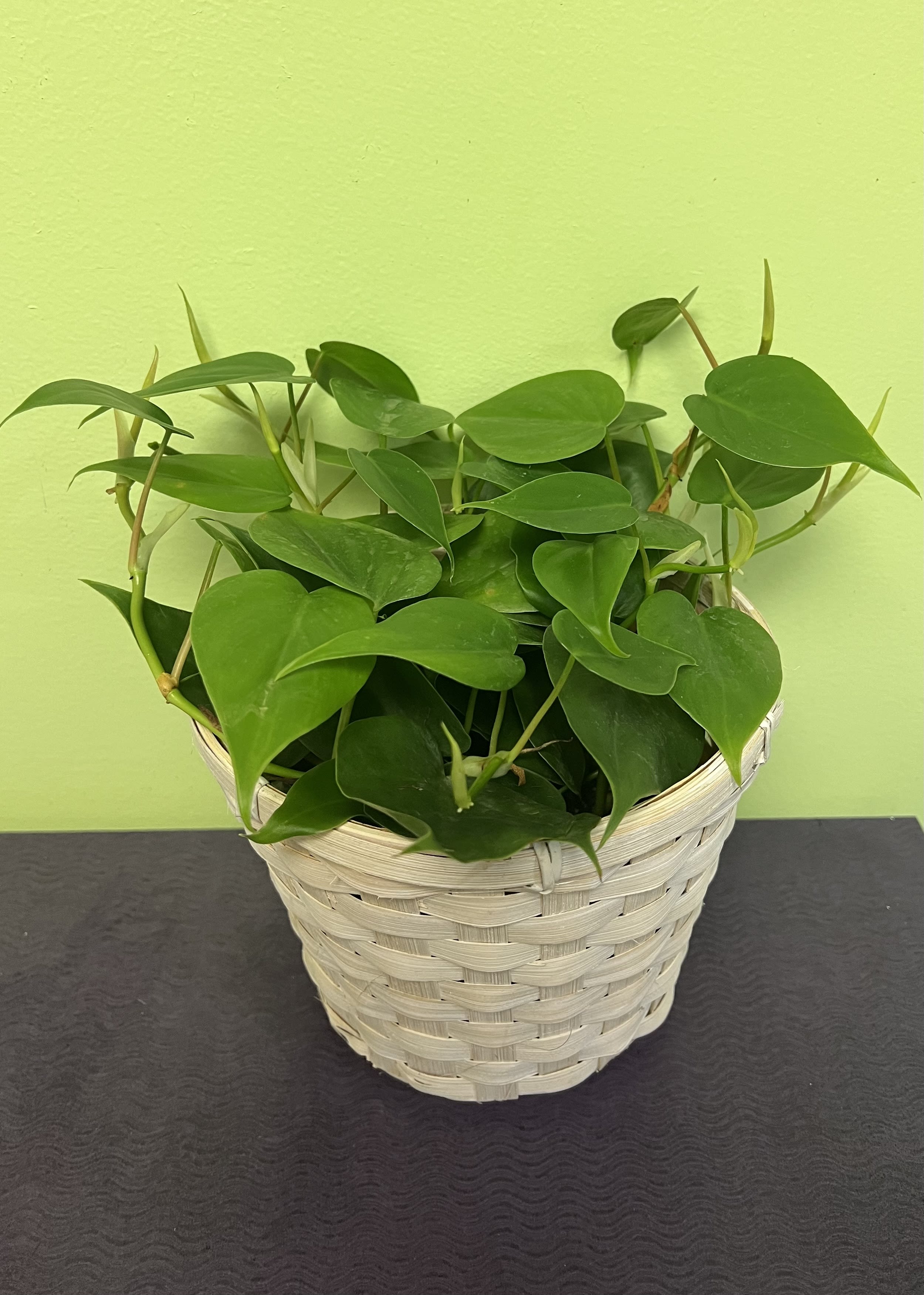 Potted green houseplant in a woven basket