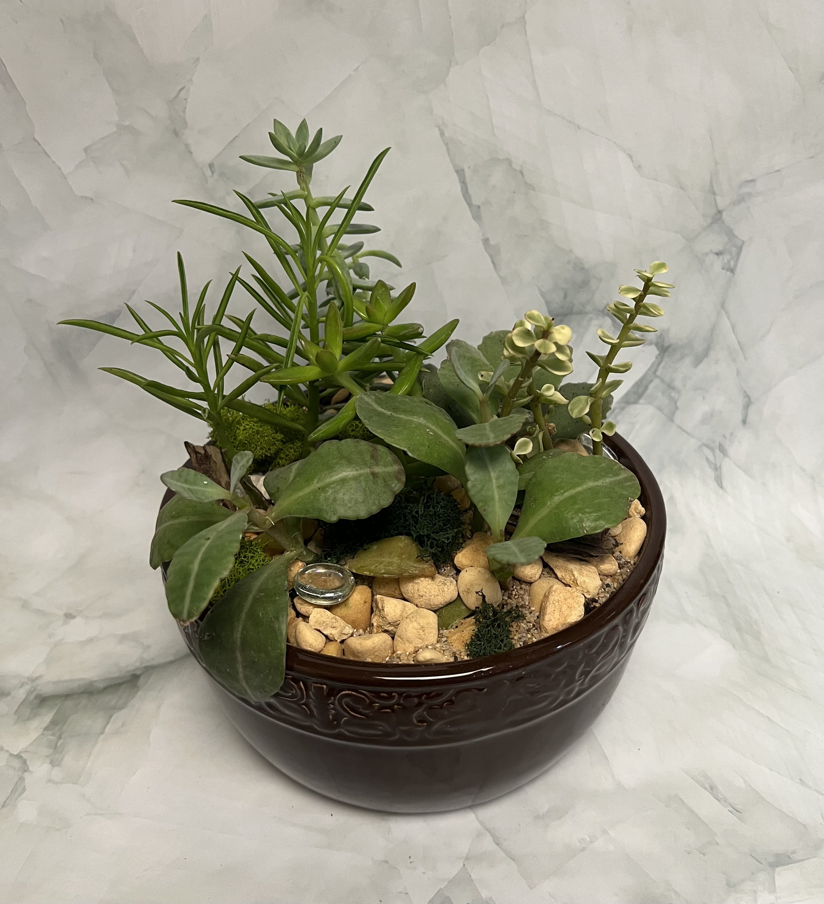 Succulent arrangement in a dark ceramic bowl with decorative stones