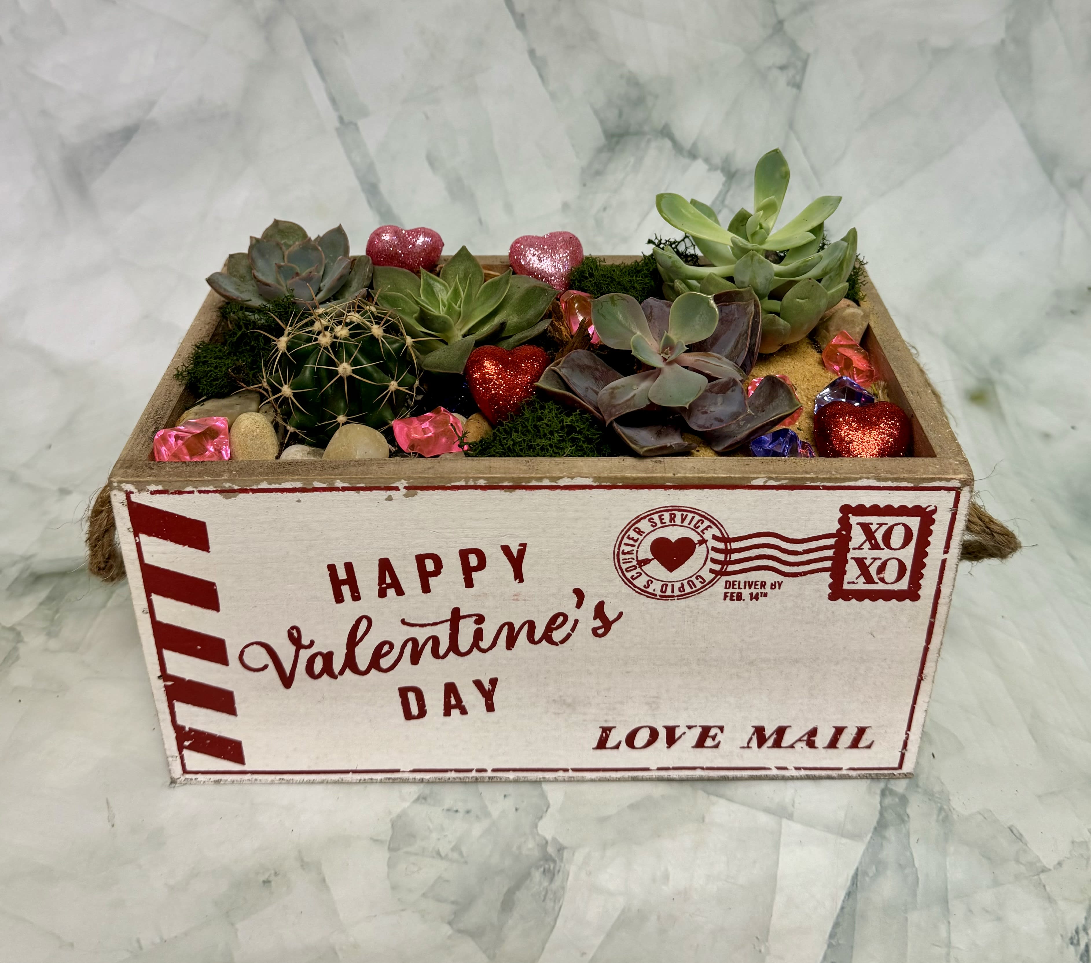 Succulents and a cactus in a Valentine-themed wooden box with heart decorations