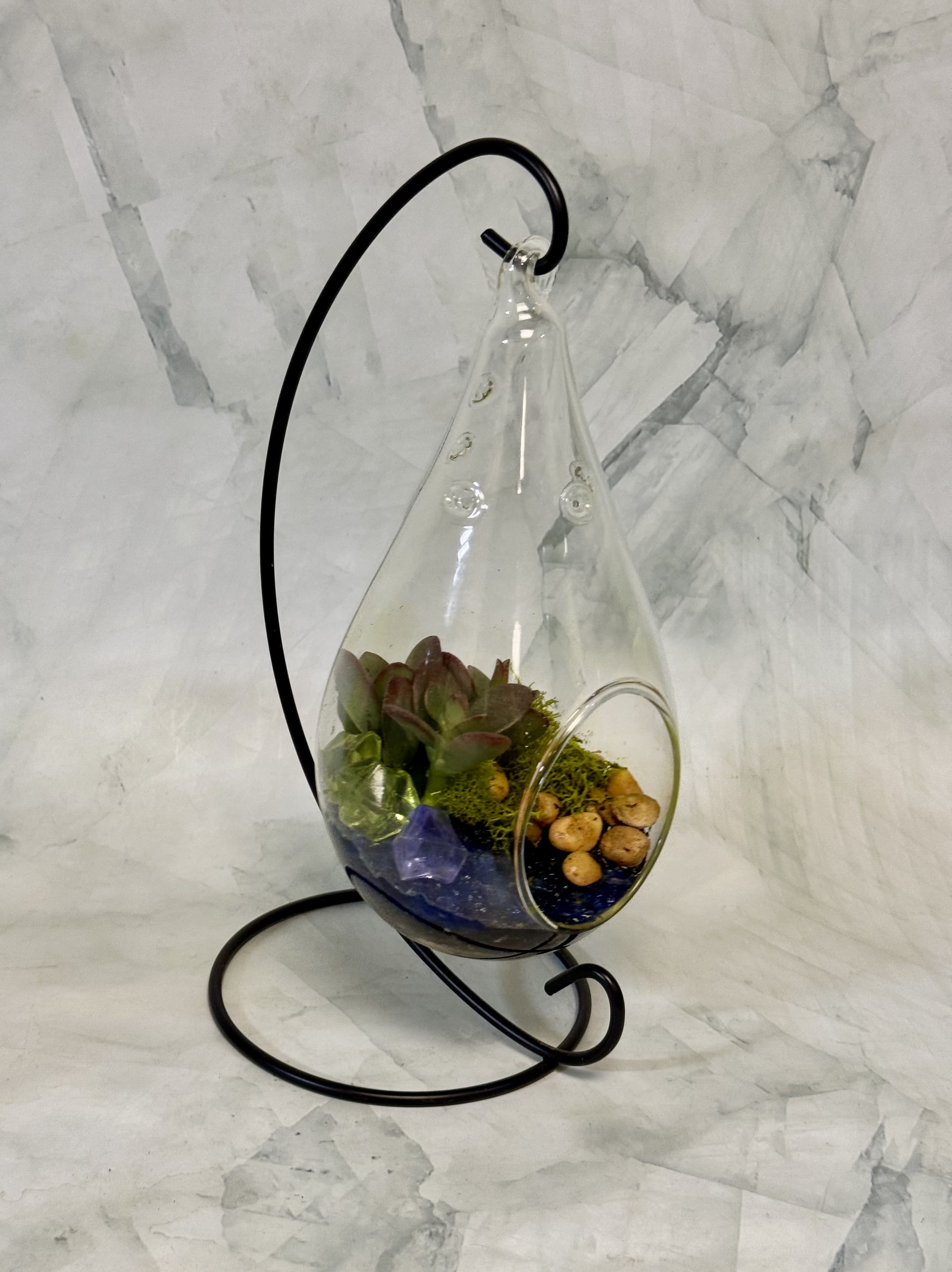 Hanging glass terrarium with succulents and stones on a black metal stand