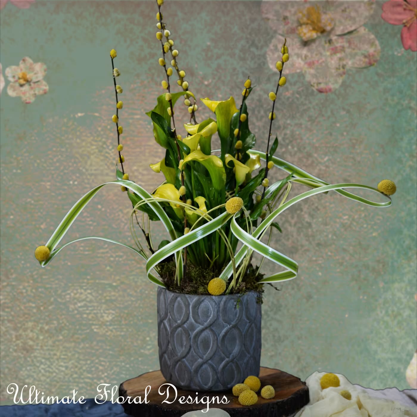 Calla lily plant - “I must have flowers, always and always.” – Claude Monet Modern calla lily plant