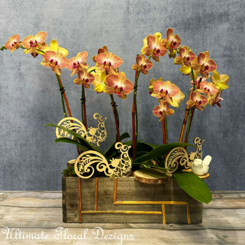 Orchid arrangement in a wooden box with decorative cutout accents
