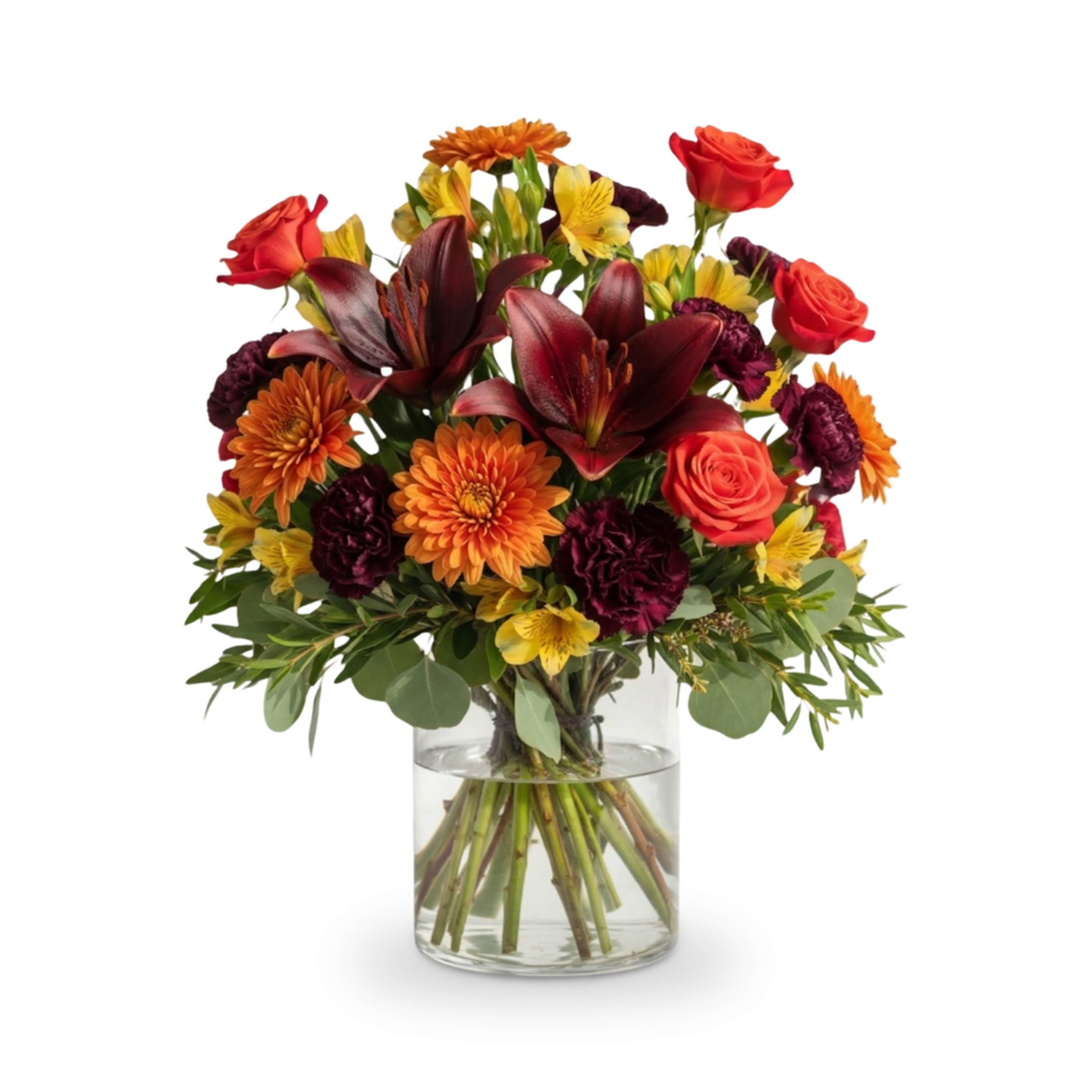 Autumn Ember Elegance - Embrace the rich, glowing tones of the harvest season with this sophisticated Fall-themed arrangement. Deep burgundy Asiatic lilies provide a dramatic and velvety center, surrounded by the fiery warmth of orange Mondial roses and textured copper-orange cushion mums. Sunny yellow alstroemeria adds a flicker of light, while dark plum carnations ground the design with their moody, sophisticated hue. Set in a classic glass cylinder and accented with silver dollar eucalyptus and lush greens, this bouquet captures the transition from golden afternoons to crisp autumn evenings, making it an ideal centerpiece for seasonal celebrations.