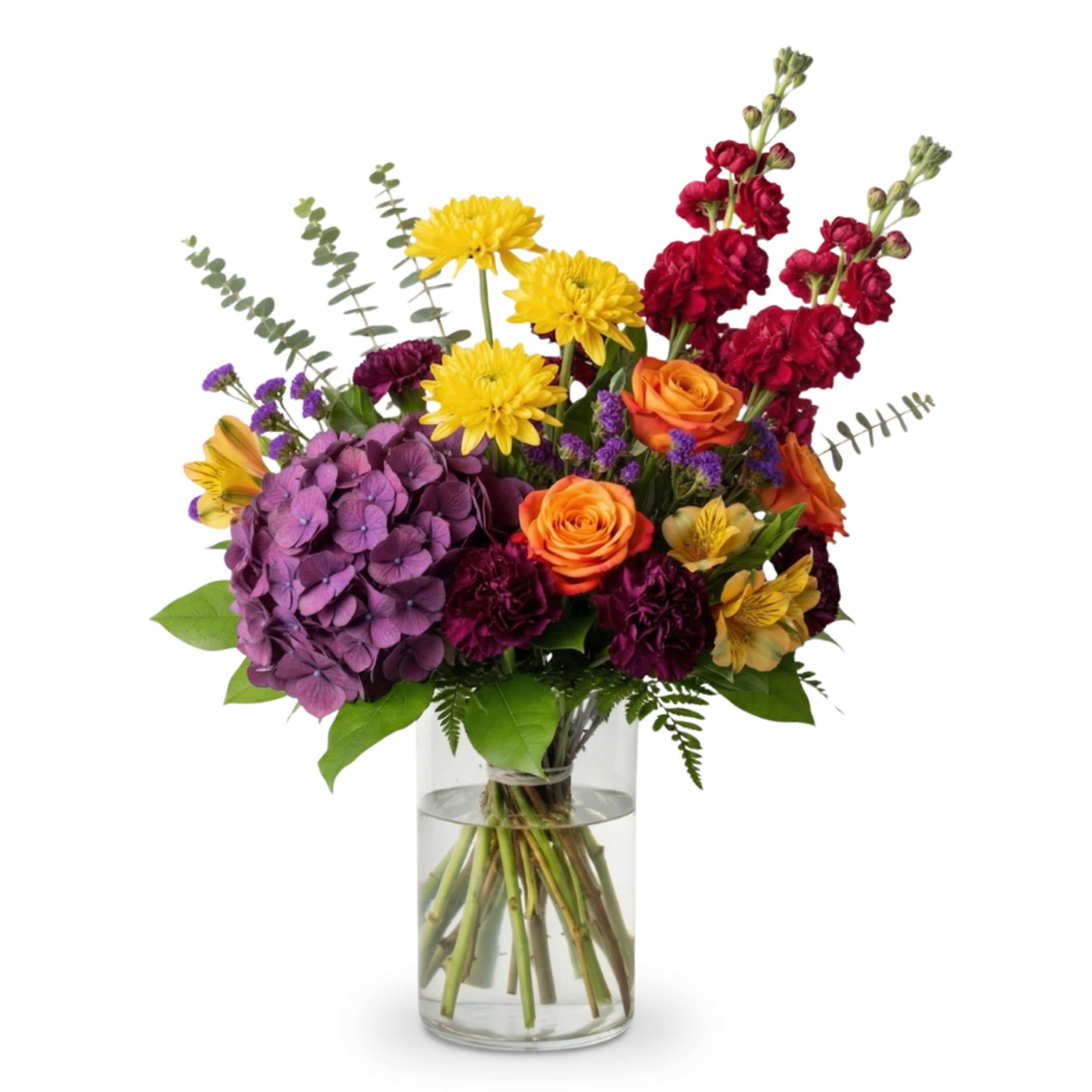 Harvest Moonlight Medley - Celebrate the abundance of the season with this rich, multi-textured arrangement that captures the transition from golden fields to purple twilight. A plush purple hydrangea serves as the anchor, providing a deep, cool base for the fiery pops of orange Mondial roses and sunny yellow cushion mums. Dramatic burgundy stock reaches upward for architectural height, while dark plum carnations and yellow alstroemeria add layers of intricate detail throughout. Sprigs of electric purple statice and silver-blue eucalyptus provide a whimsical, airy finish, all presented in a sleek glass cylinder for a look that is both sophisticated and festive.