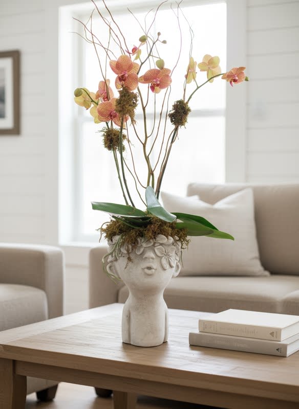 Love on the Brain/Orchid Plant - Vibrant orchid in distinctive face vase! ((Style of container AND colors of orchids vary))  Whimsical and definitely a keepsake container.   This is a rather tall gift as well 