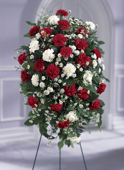 Standing spray of red and white carnations with small white daisies