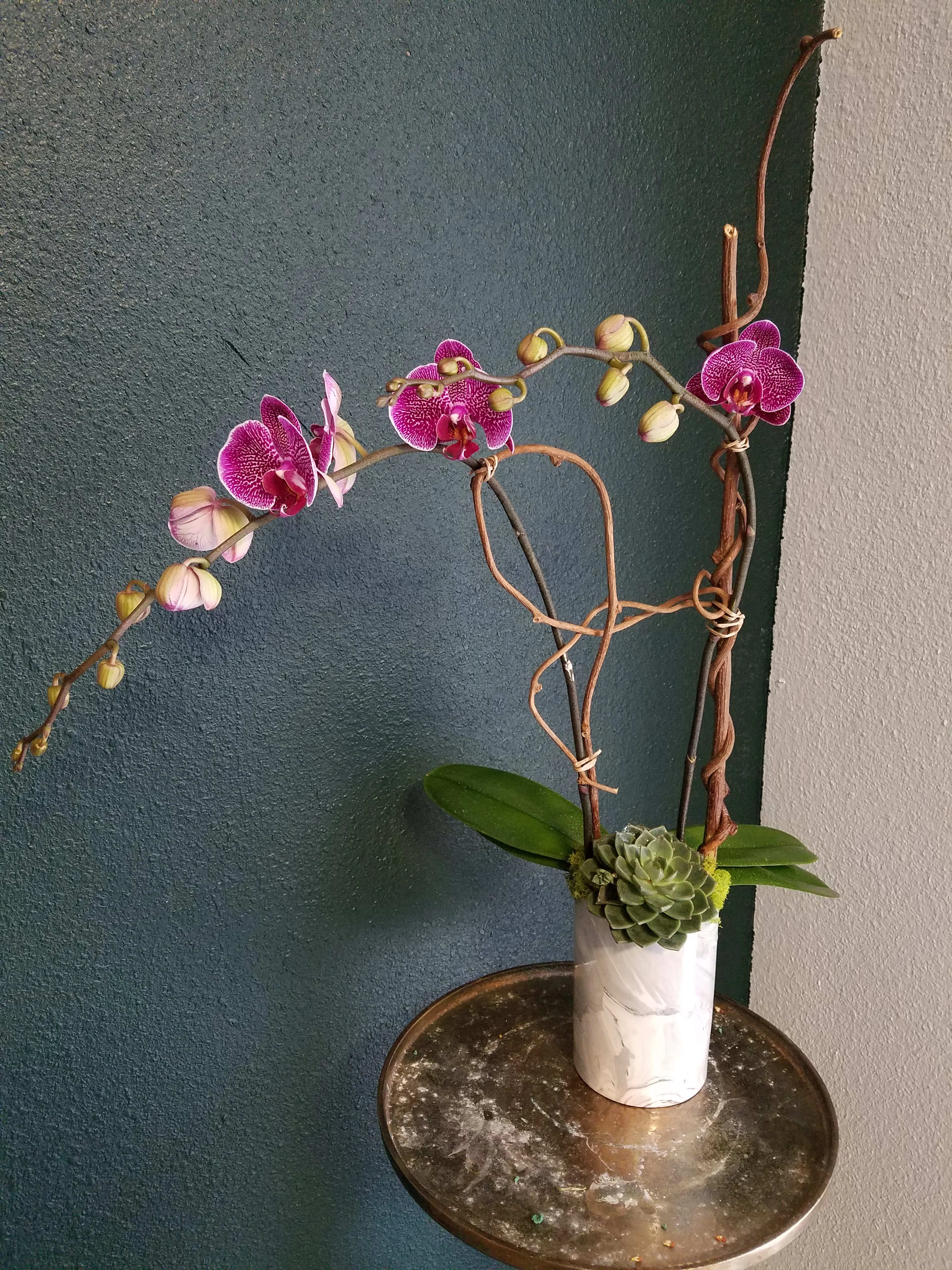 Purple orchids in a white vase with a succulent accent