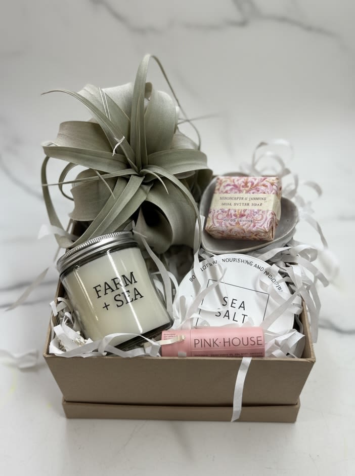 Sea Rose Gift Box  - A blushing summer collection including a large body lotion from Farm + Sea, Pink House Organics liptint, live Xerographica air plant, heart trinket dish, rosewater and jasmine shea butter soap, and Farm + Sea candle.  If you have specific Farm + Sea fragrance request, please list in the notes. Otherwise we will pick our favorites!