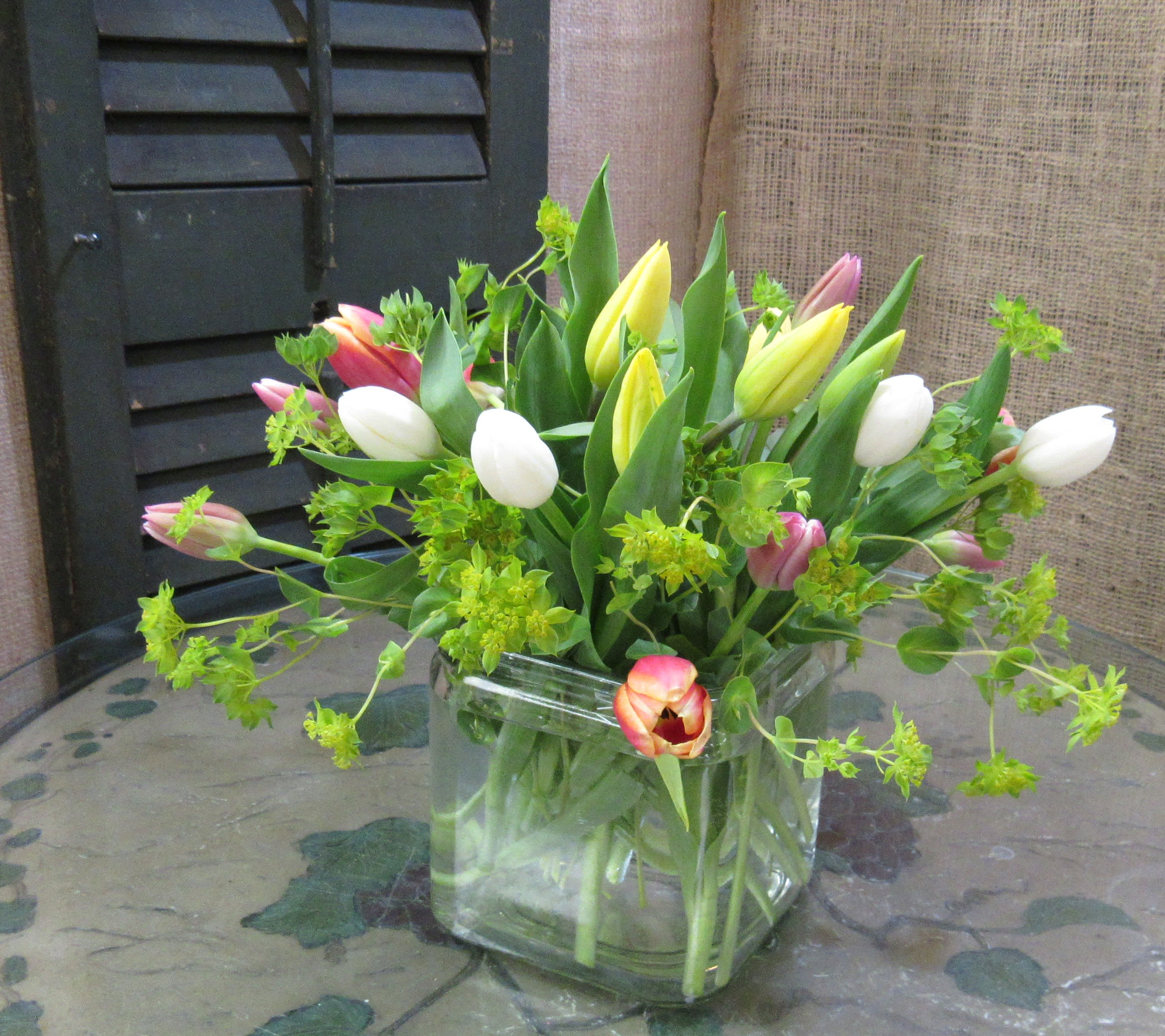 Mixed tulips arranged in a clear square glass vase
