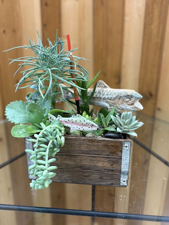 Succulent arrangement in a wooden box with decorative fish figures