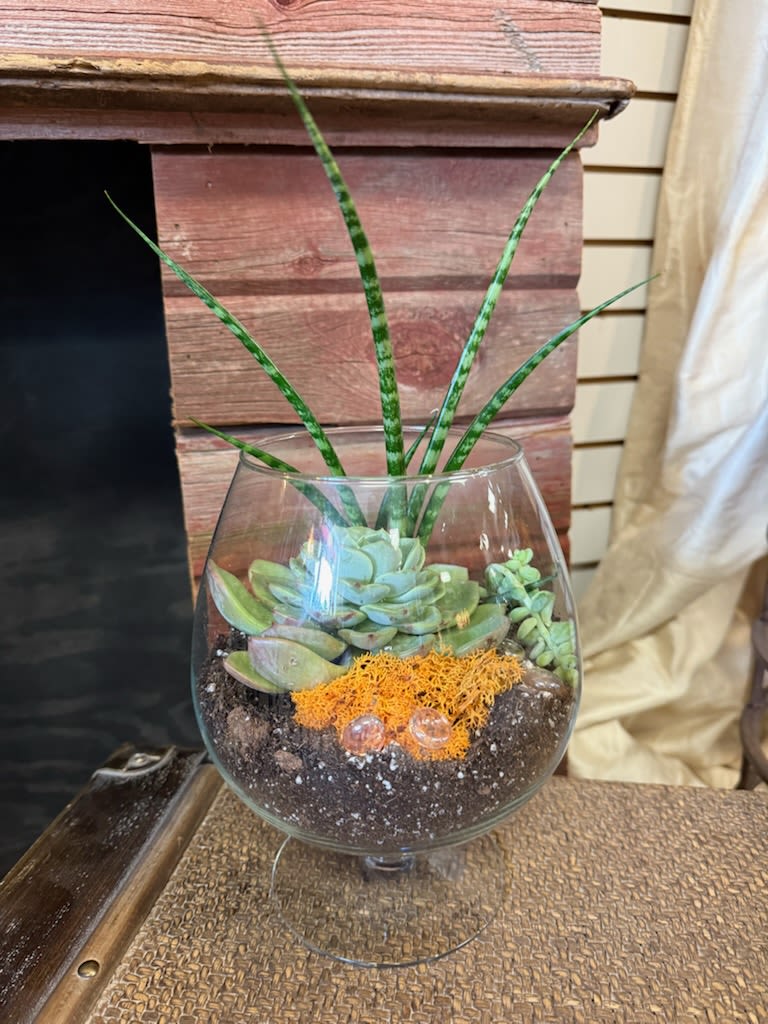 Succulent arrangement in a glass bowl with tall striped leaves
