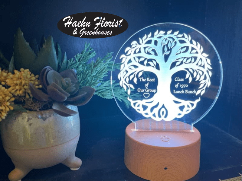 Custom Luminous Light Display - Makes for an eye catching display for home or business. A sweet way to send a message, or personalized night light. This Custom LED Light Display comes with a remote control and USB cable. Has 16 different color selections and 4 different modes.