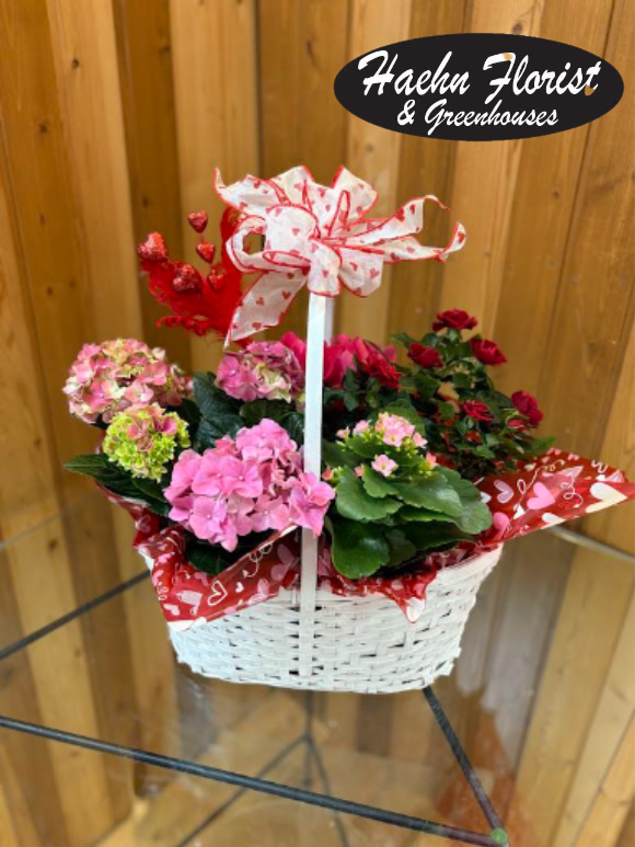 Basket of pink and red potted flowers with a heart ribbon