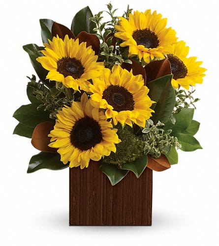 You're Golden Bouquet by Teleflora - Rise and shine! Send her a sunrise with this golden bouquet of bright-as-day sunflowers. It's the perfect gift for the light of your life. Bold bright sunflowers are arranged with delicate oregonia magnolia leaves lemon leaf and moss. Delivered in a Bamboo Cube.Approximately 14 1/2" W x 16 1/2" H Orientation: One-Sided As Shown : TEV32-1ADeluxe : TEV32-1BPremium : TEV32-1C