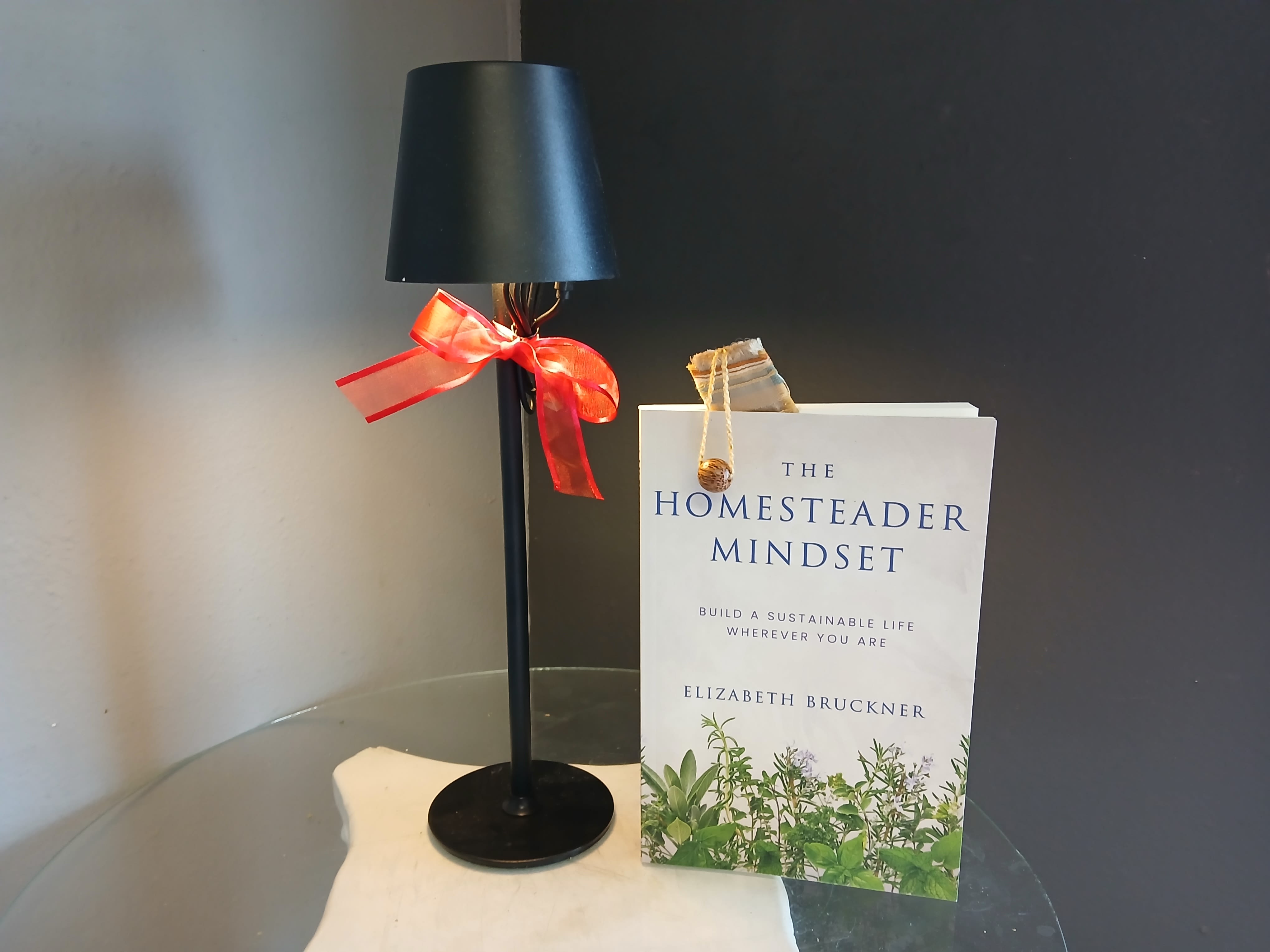 A Night In- The Homesteader's Mindset - This gift set is sure to dazzle the bookworm in you life. Featuring The Homesteader Mindset by Elizabeth Brucknier, a wellness book about "Building a sustainable life wherever you are". This set also includes an LED rechargeable lamp to ensure the best lighting for reading.