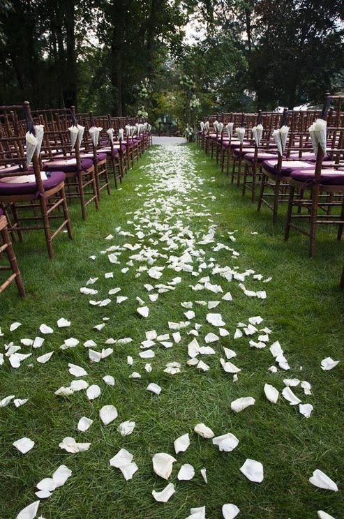 Ceremony Aisle Petals - Light Coverage  The Vibe: Subtle, airy, and romantic.  Description: A delicate scatter of fresh petals lightly dusting the edges of your walkway. Perfect for adding a gentle touch of color and a classic wedding feel for up to 10 rows.  Medium Coverage  The Vibe: Soft, romantic, and beautifully visible.  Description: A more defined framing for your walk. This option provides a noticeability denser dusting along the sides of your aisle for up to 10 rows, framing your processional beautifully in photos.  Heavy Coverage  The Vibe: Lush, lavish, and high-impact.  Description: A dense, rich border of premium petals lining your pathway for up to 10 rows. This choice creates a striking, high-impact floral border that feels incredibly luxurious as you walk down the aisle. Delivery and Installation are extra. 