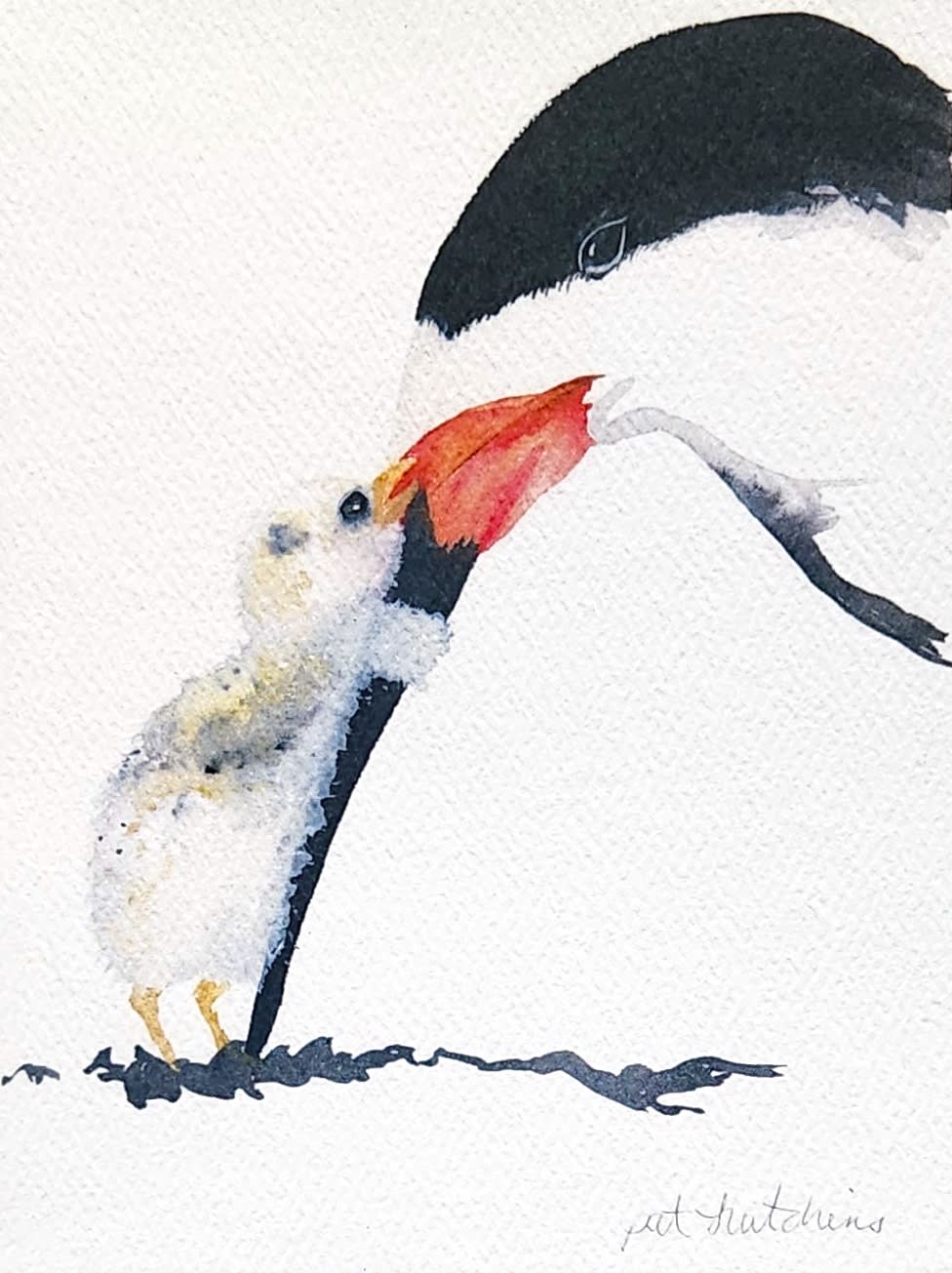 Watercolor painting of a penguin on white paper