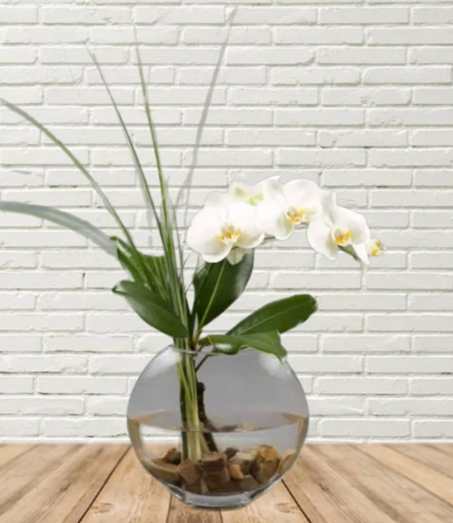 White orchid stems in a round glass vase with stones