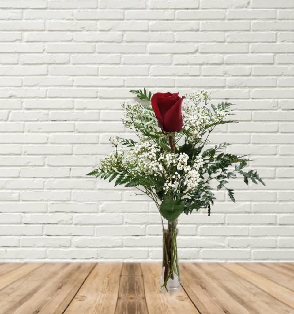 Single red rose in a clear vase with white filler flowers