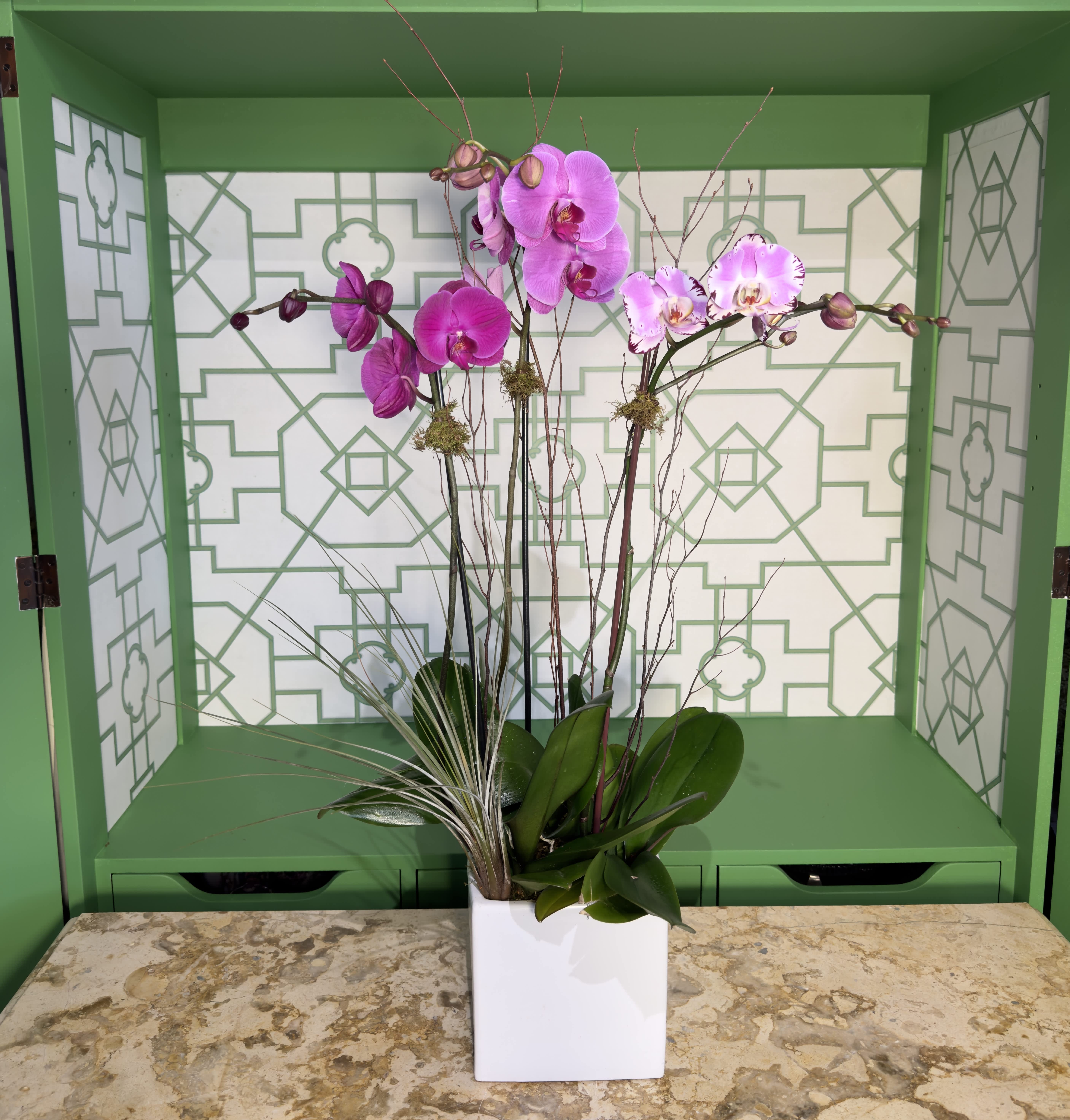 Tall pink phalaenopsis orchid plant with air plant accents in a white square pot
