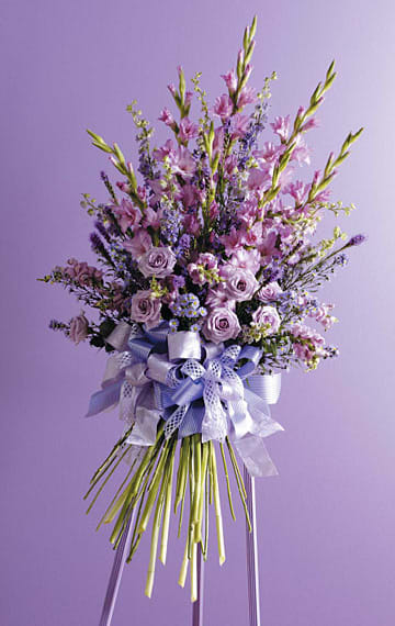 SF39-31 - John Henry Sympathy - As Shown : SF39-31
