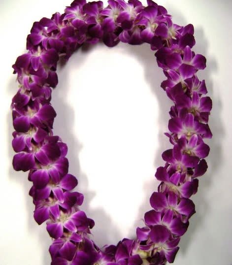 Purple orchid lei arranged in a loop on a white background