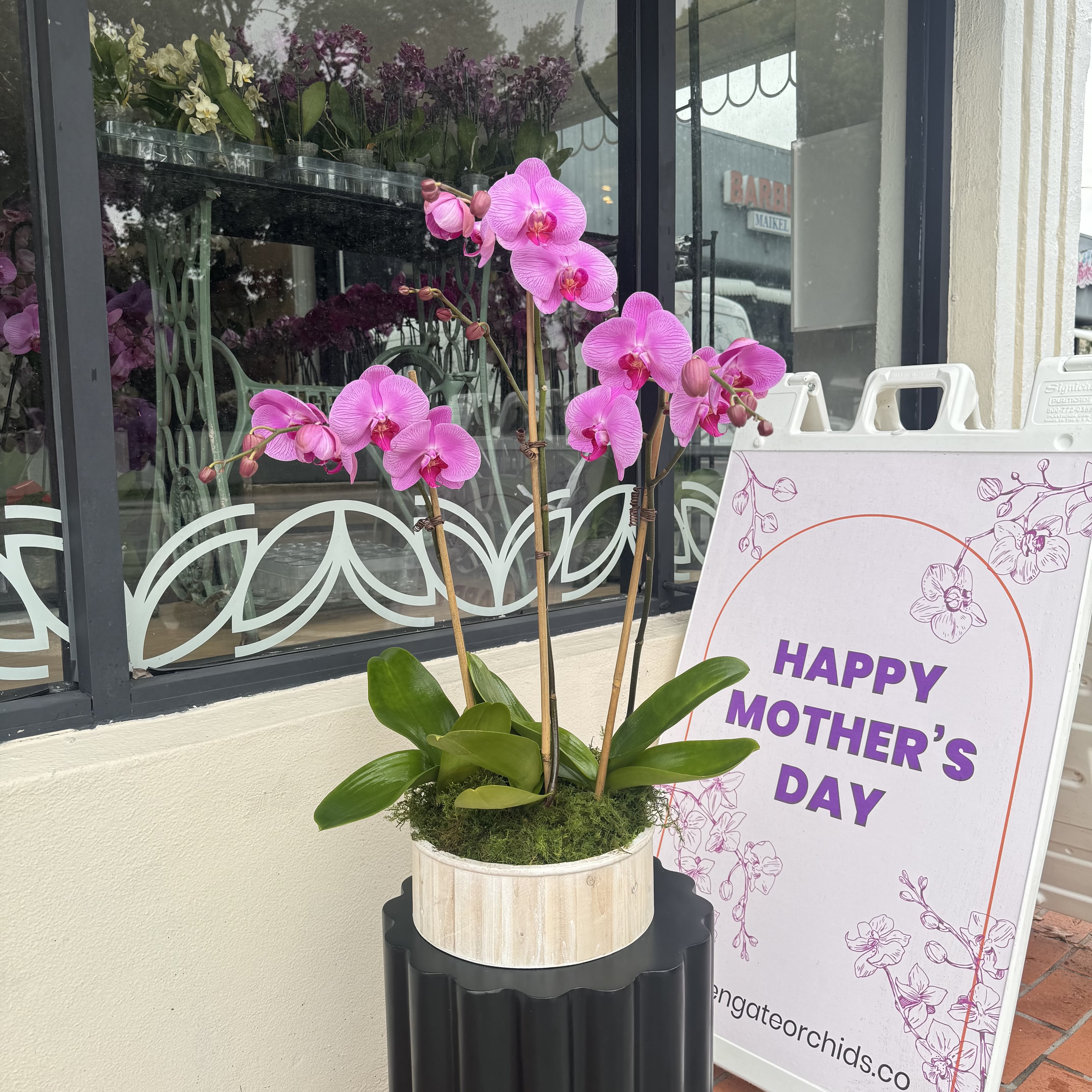 Pink Princess - All arrangements are customizable with different colors of orchids. Flower size, shape and color will vary depending on availability and blooming cycle.