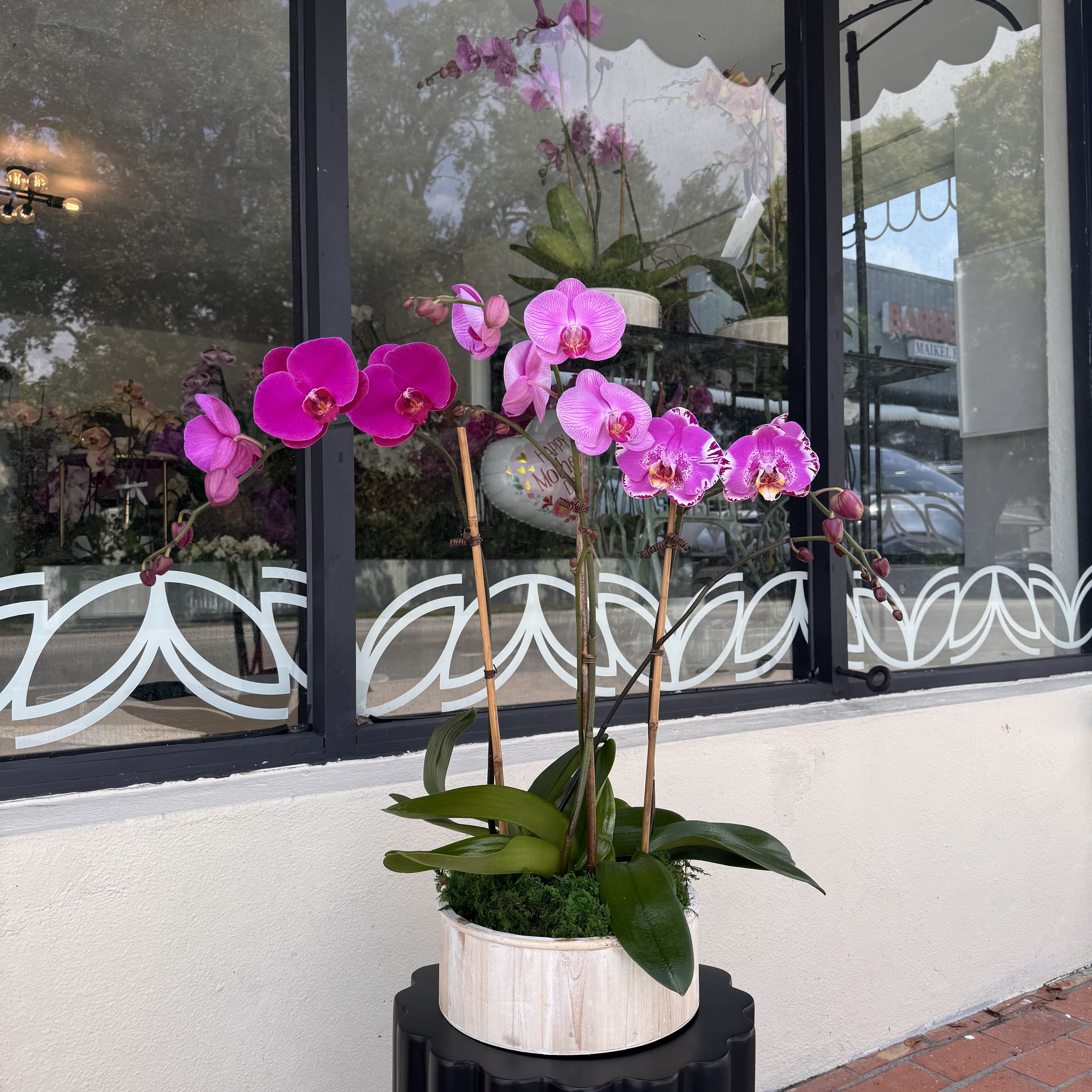 Mix Color Princess - All arrangements are customizable with different colors of orchids. Flower size, shape and color will vary depending on availability and blooming cycle.