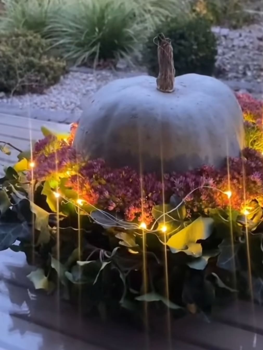 Purple Pumpkin - A purple Pumpkin with fresh flowers is an excellent present