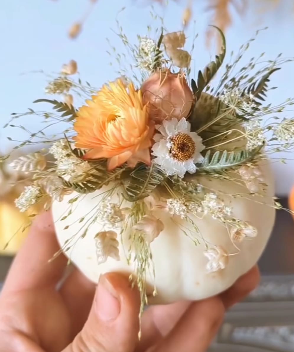 Mini Pumpkin - A mini Pumpkin with flowers it´s ideal to decorated every space of your house