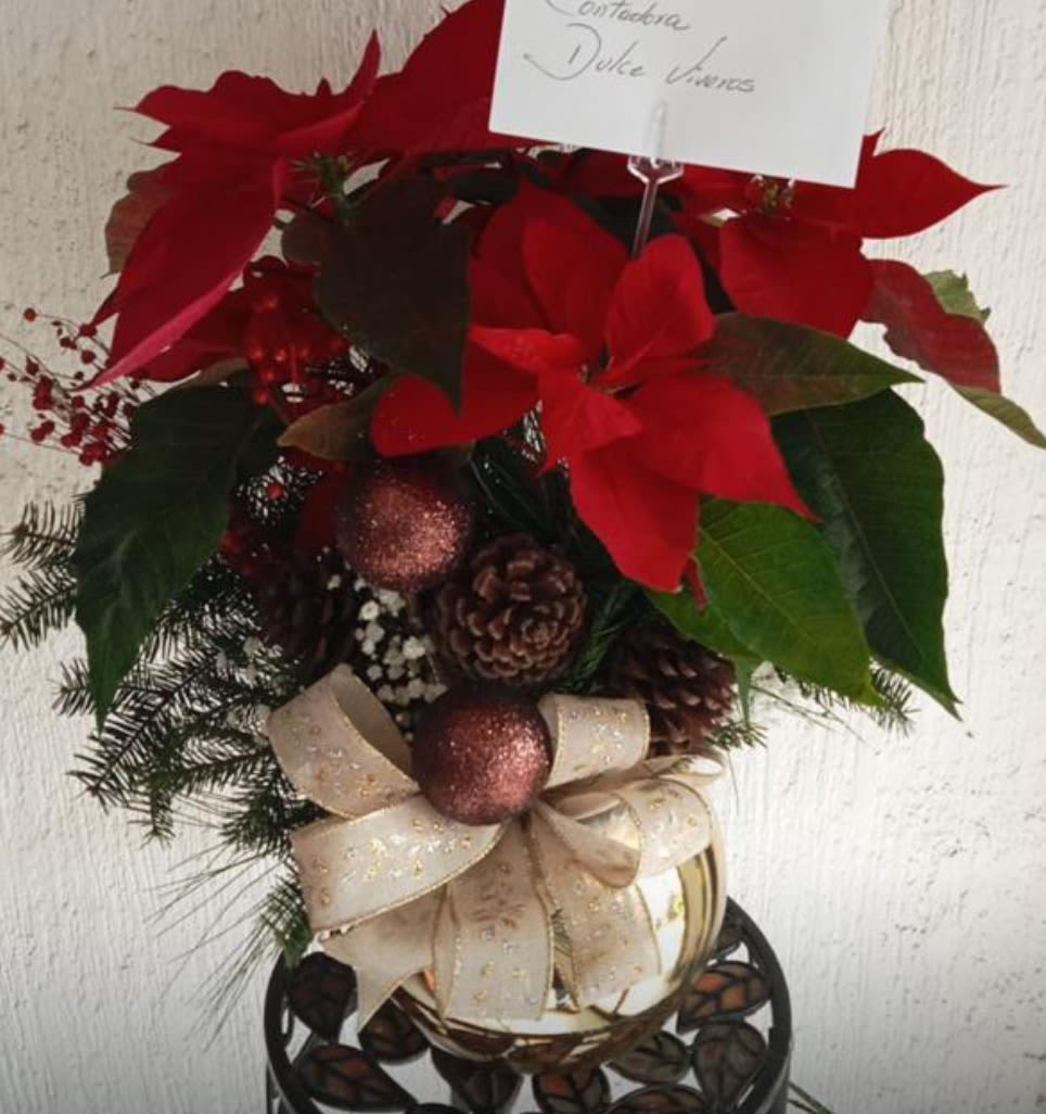Holiday Red Charm - Festive flower arrangement crafted with fresh red poinsettias, seasonal greenery, pinecones and holiday accents, professionally designed as a Christmas floral centerpiece in a classic holiday style and handcrafted with care.
