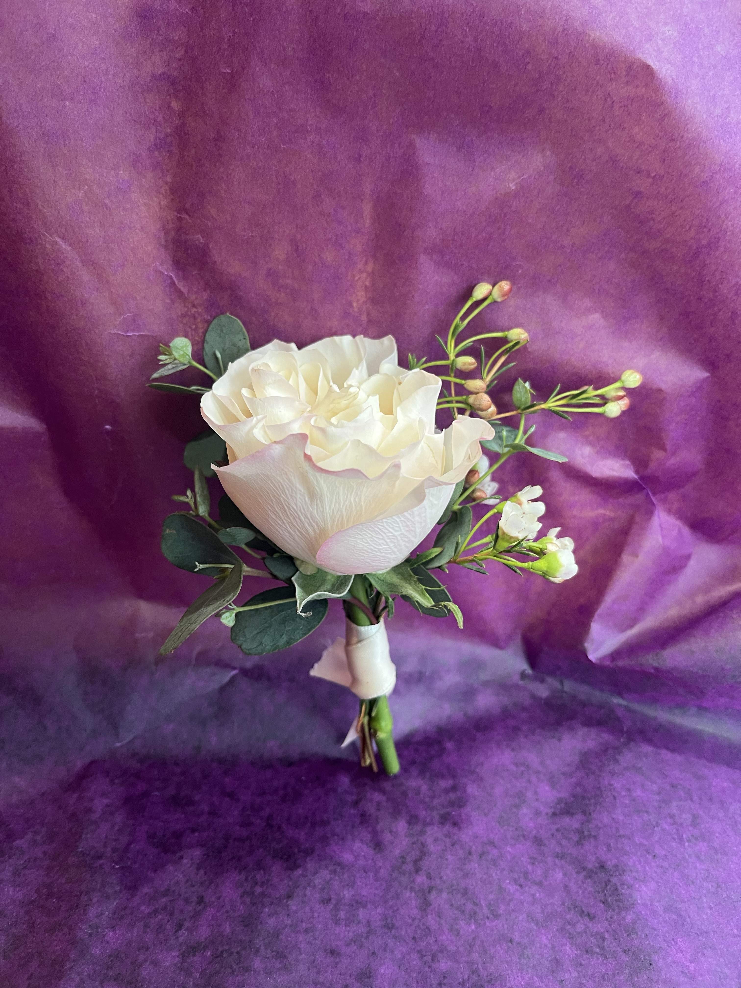 Cream rose boutonniere with small white buds and ribbon on a purple background