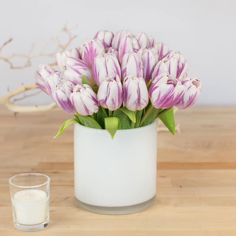 Short Stemmed Tulips - This beautiful arrangement provides a modern hint of color perfect for any occasion. Containers come in clear, white, black and leaf line.