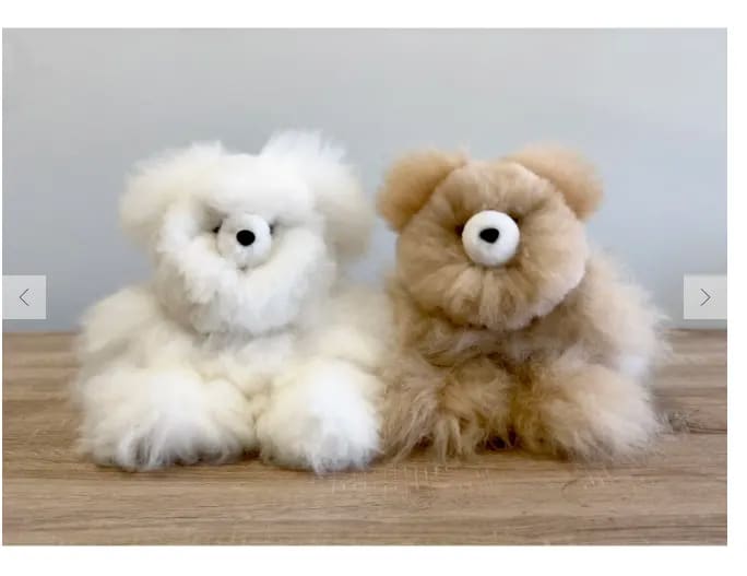 Two fluffy teddy bears, one white and one tan, sitting side by side