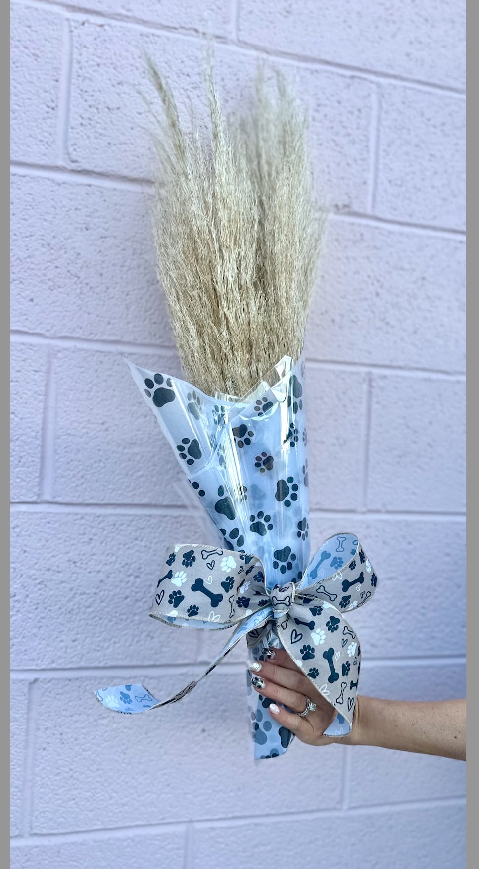 Bundle of dried pampas grass wrapped in paw-print cellophane with a bow