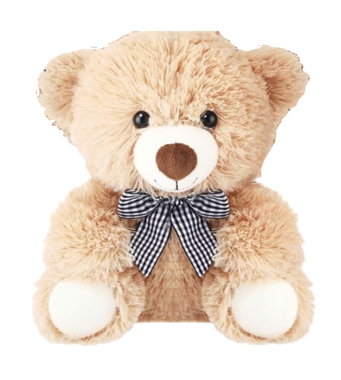Plush teddy bear with a black-and-white checkered bow