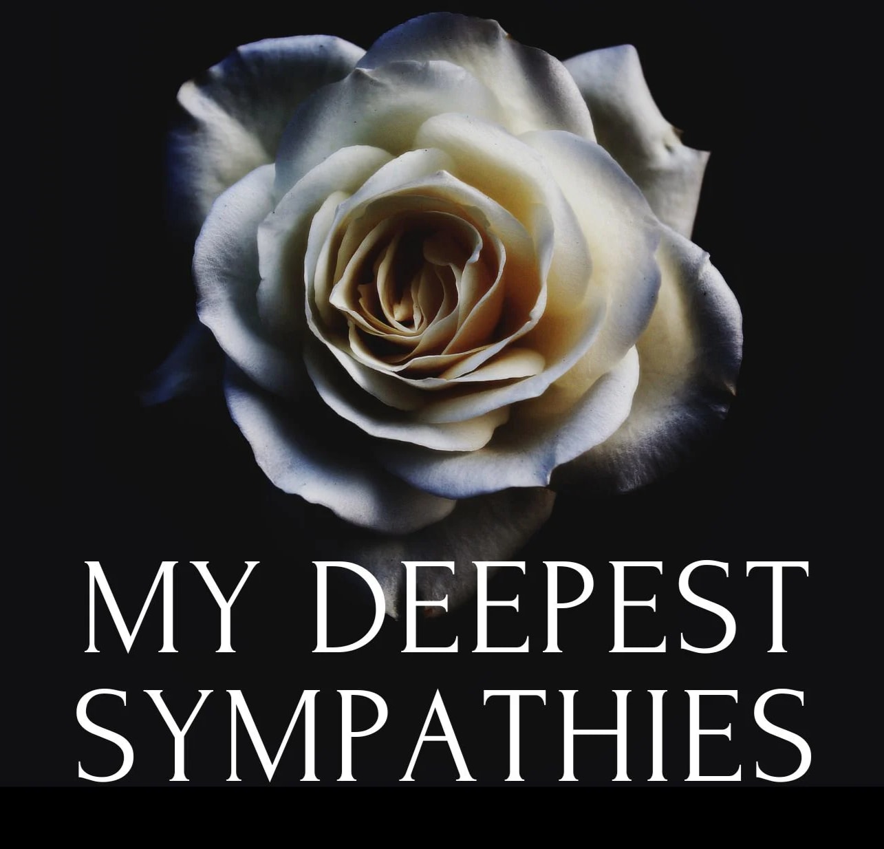 White rose on a black background with the words "MY DEEPEST SYMPATHIES"
