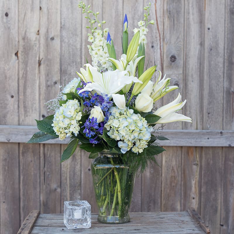 The Colonial Garden #27 - Tall white lilies and soft blue hydrangeas create a calm, refined presence in this flower arrangement - ideal as a sympathy or funeral tribute, a peaceful Easter centerpiece, or a soothing "just because" gift. The cool palette of white, green, and blue reads as both comforting and celebratory, so it also works beautifully for thank-you gestures, new baby visits, holiday tables, or Passover and Hanukkah settings.  White roses and lilies rise above clusters of pale blue hydrangeas, while spires of white delphinium and upright blue iris buds add elegant vertical lines and texture. Arranged in a classic clear glass vase that reveals the long stems and water, the design includes a small clear glass cube as a simple accent. The overall effect is airy and graceful, bringing a feeling of serenity to bedside flower deliveries, mantel displays, or formal events.  We select the freshest blooms available each week; if a particular variety is unavailable we'll substitute with flowers of equal quality and similar color to preserve the intended look. For sizing and delivery options, or to let us know if this is for a specific occasion like a new baby or memorial service, please contact our shop when ordering.
