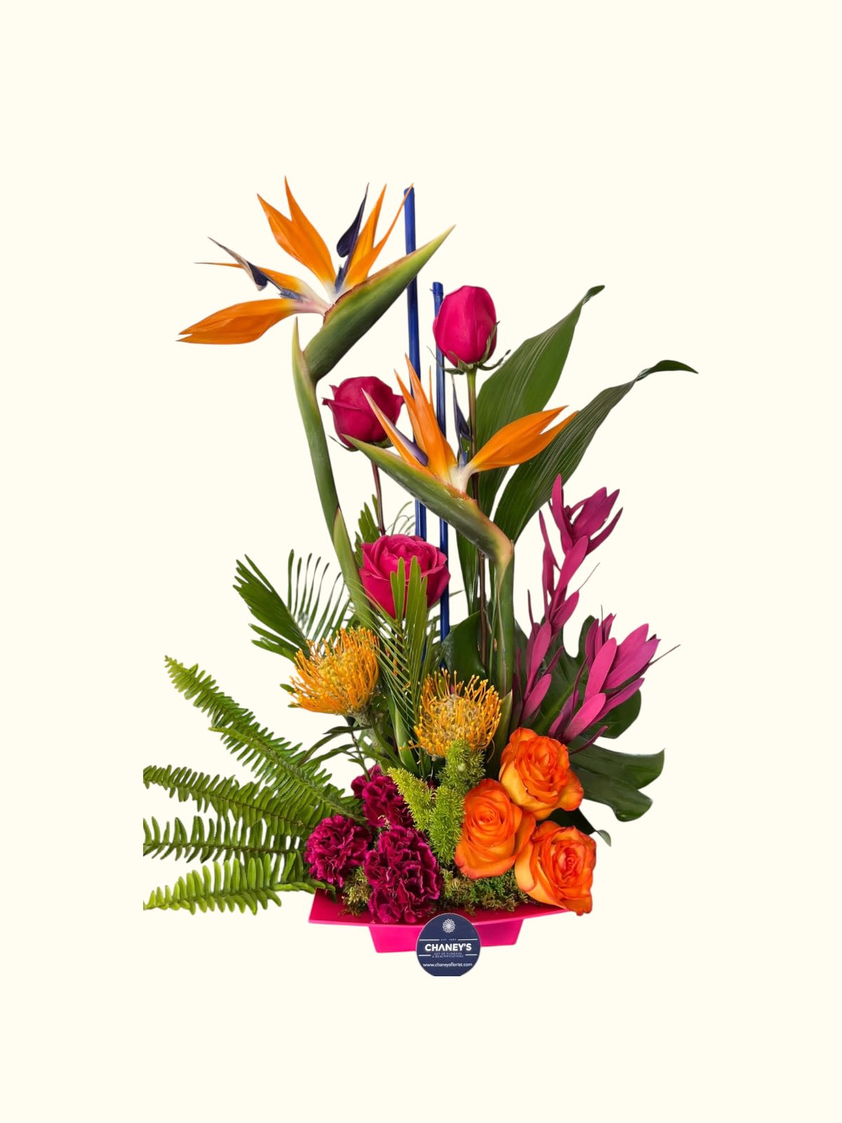Tropical bouquet with orange bird-of-paradise and pink roses in a pink container